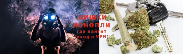 молекула духа Чекалин
