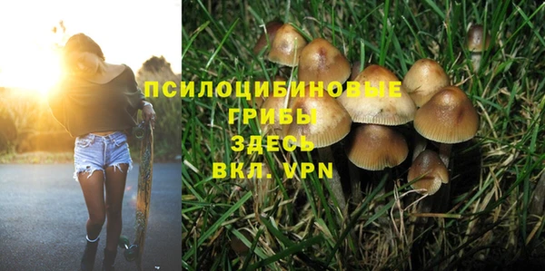 спиды Нязепетровск