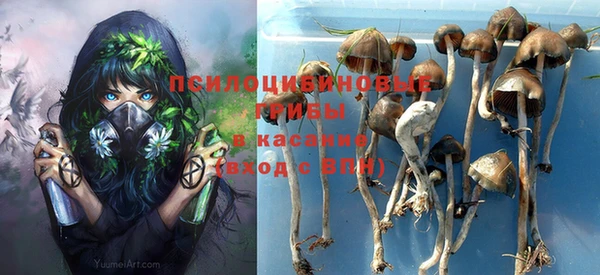 mdpv Нягань
