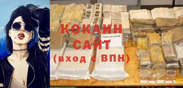 молекула духа Чекалин