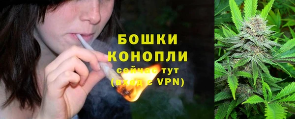 молекула духа Чекалин