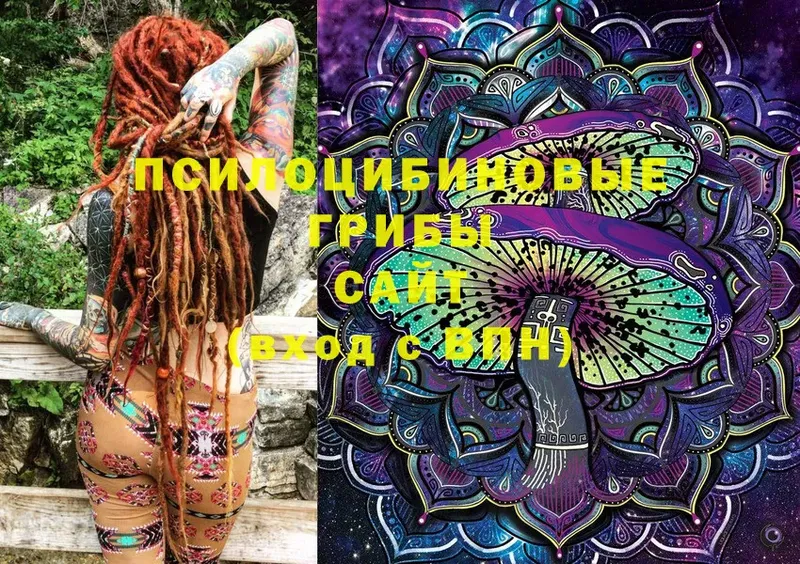 Псилоцибиновые грибы Magic Shrooms  Железногорск 