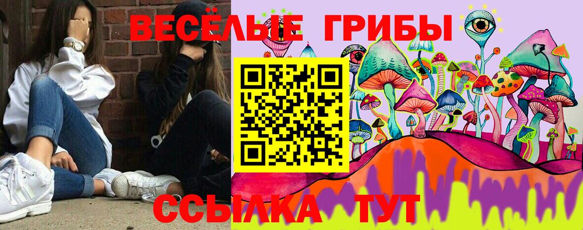 Галлюциногенные грибы MAGIC MUSHROOMS  цена наркотик  Железногорск 