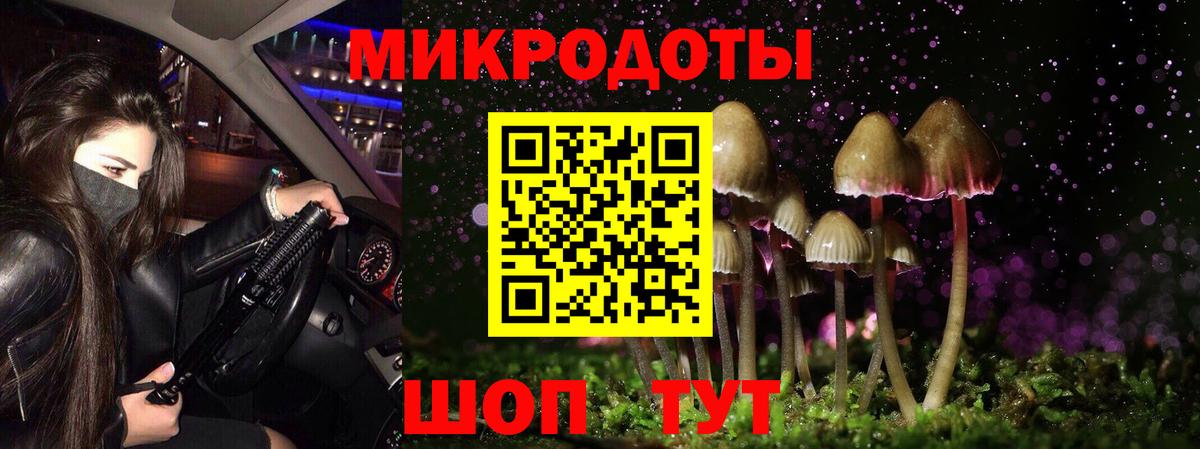 Псилоцибиновые грибы Psilocybe Железногорск